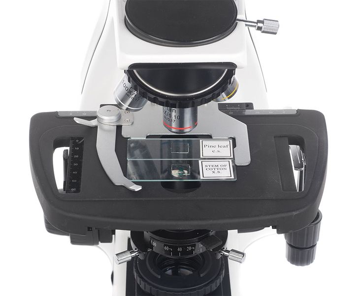 Мікроскоп SIGETA BIOGENIC 40x-2000x LED Trino Infinity OPT-65260 фото