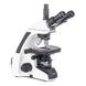 Мікроскоп SIGETA BIOGENIC 40x-2000x LED Trino Infinity OPT-65260 фото 1