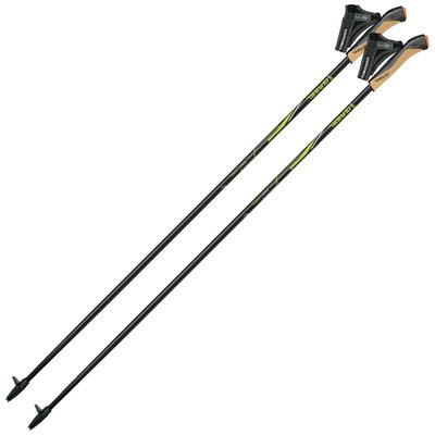 Палки для скандинавской ходьбы Gabel FX-75 Snake Carbon 115 Dual Spike (7009351011150) DAS302694 фото